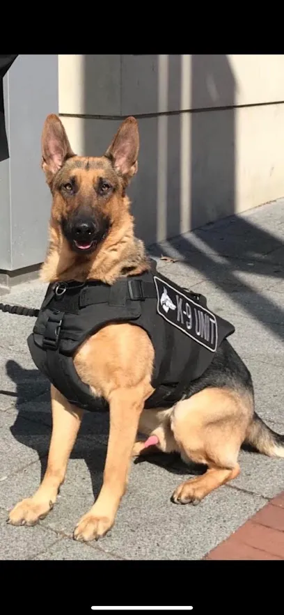410K9