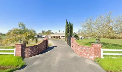 All Dog Training