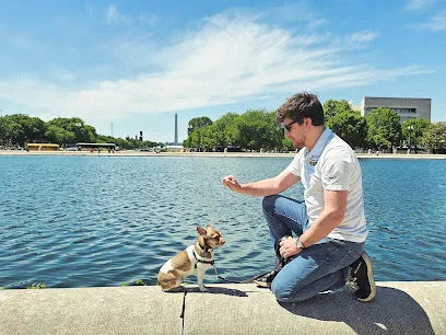 Bark Busters Home Dog Training Washington, DC, Bethesda, and Chevy Chase