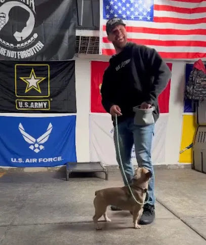 BarNone K9