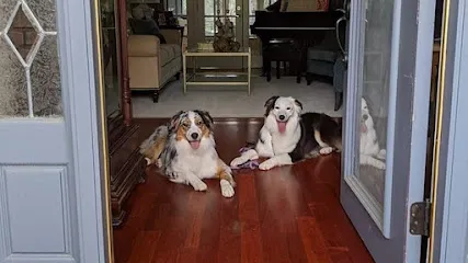 Best Behaved Pups
