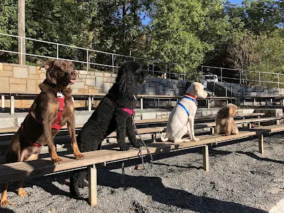Best in Dog LLC