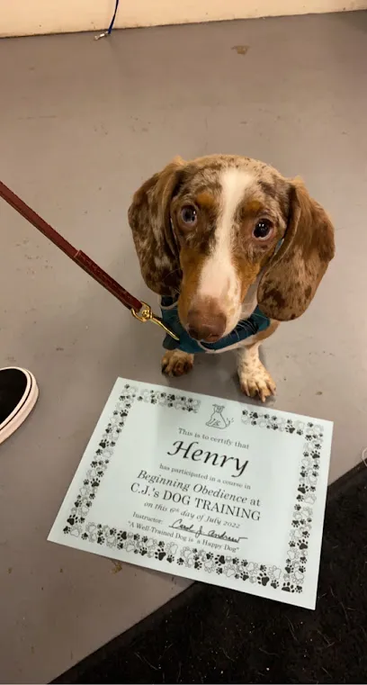 C J's Dog Training