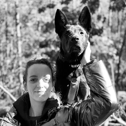 Canine Decoded