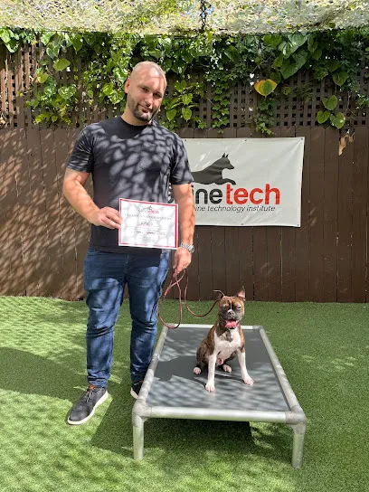 Canine Technology Institute - Miami Dog Boarding & Training School
