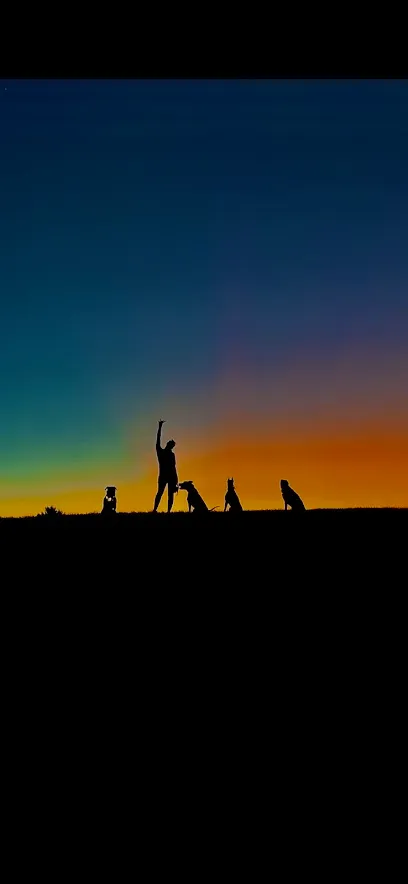 Complete K9 Services