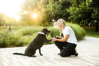 Connect Canine Training, LLC