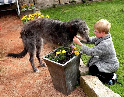 DOGS-in-TRAINING, LLC
