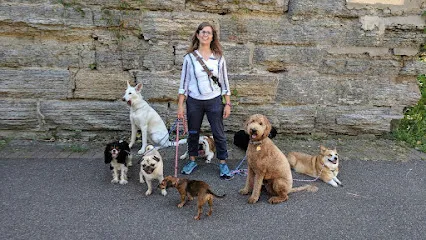 Erin Go Dog
