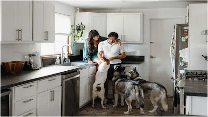 Feels Like Home: Dog Care