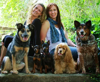 Fido's Finest Dog Training