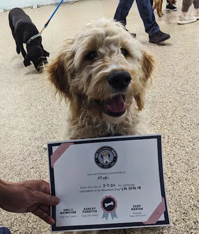 Go Anywhere Dog - Puppy Training School