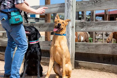 Instinct Dog Behavior & Training Fort Worth