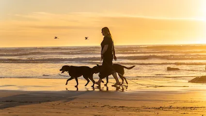 K9 Harmony