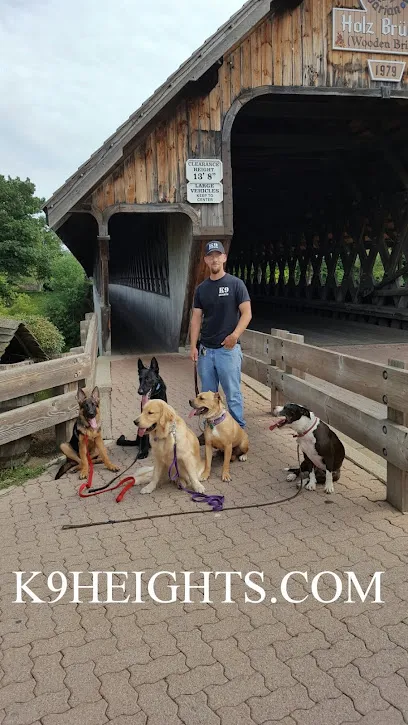 K9 Heights Dog Training