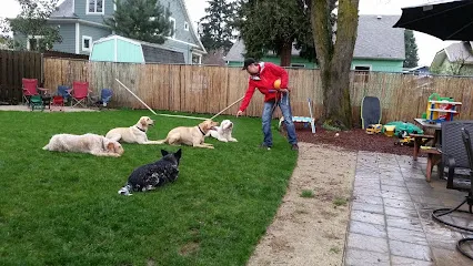 Leader of the Pack Dog Training, LLC