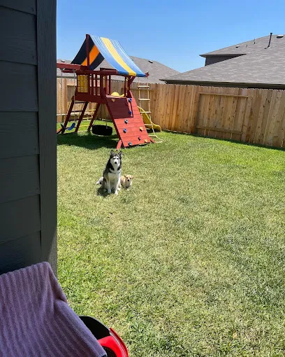 Montreal Professional Dog Training Services
