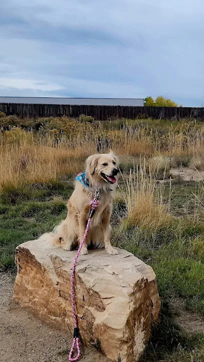 Off-Leash K9 Training - Denver