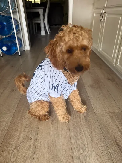 officialbarkbnb