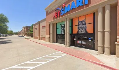 PetSmart Dog Training