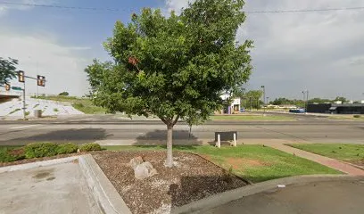 PetSmart Dog Training