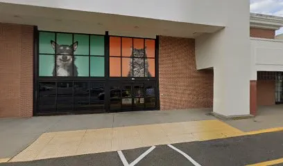 PetSmart Dog Training