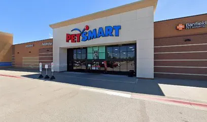 PetSmart Dog Training