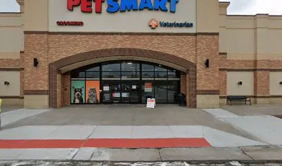 PetSmart Dog Training