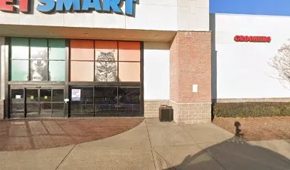 PetSmart Dog Training