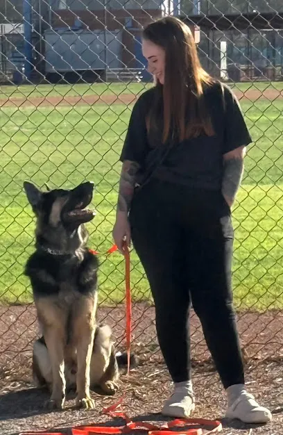 Point and Howl Dog Training