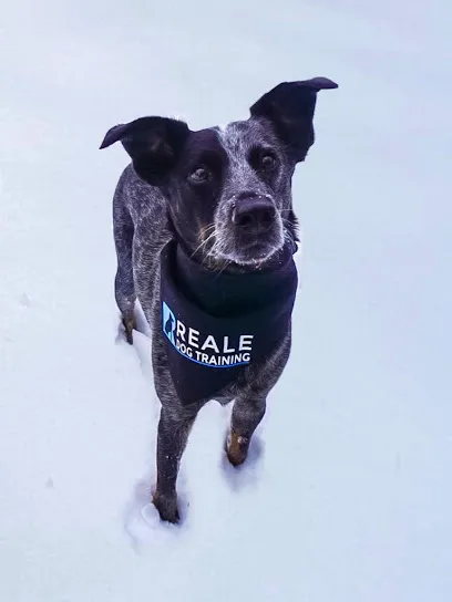 Reale Dog Training