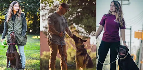 Ridgeside K9 Tampa