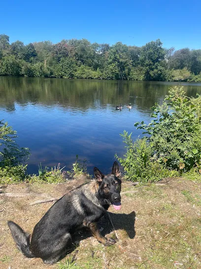 Roman’s K9
