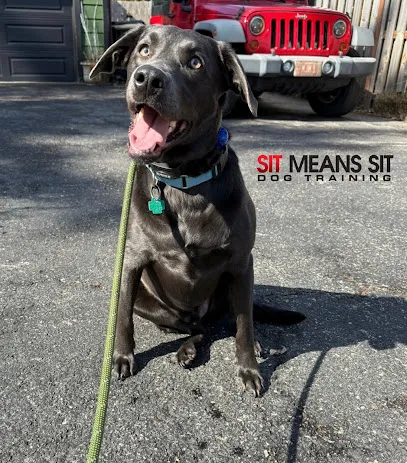 Sit Means Sit Dog Training - Western Chicago