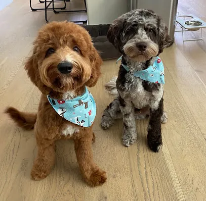 Skilled Mutts Company