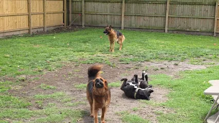 Southeastern K9