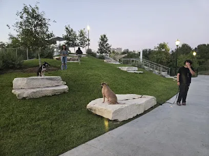 Stealth K9 Dog Training