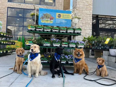 Suburban K9 Dog Training