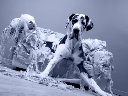 TAME YOUR CANINE
