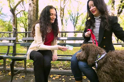 Tara's School for Dogs