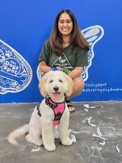 The Dogs' Spot - Dog Training Center and Boutique