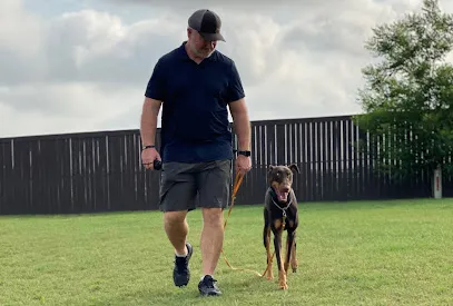 The Hill Country Dog Trainer