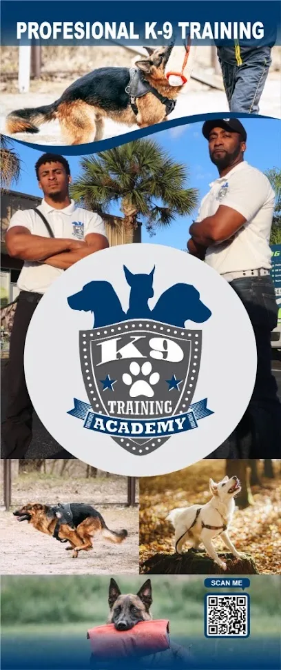 The K9 Training Academy Orlando LLC