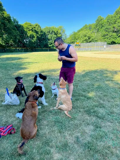 Wag With William