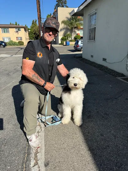Webster's Dog Training