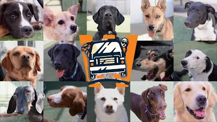 Whitaker Dog Day Camp - Dog Daycare, Boarding and Training