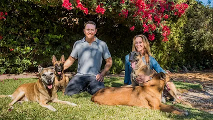 Who's Walking Who? Dog Training
