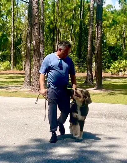 Wolff's Kennel Inc, K-9 Boarding & Training Center
