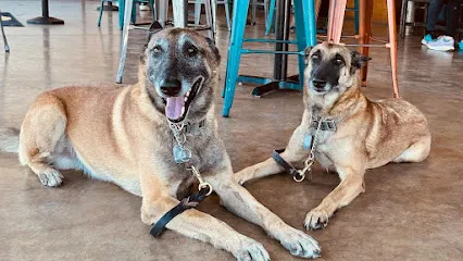Xcaliber Dog Training